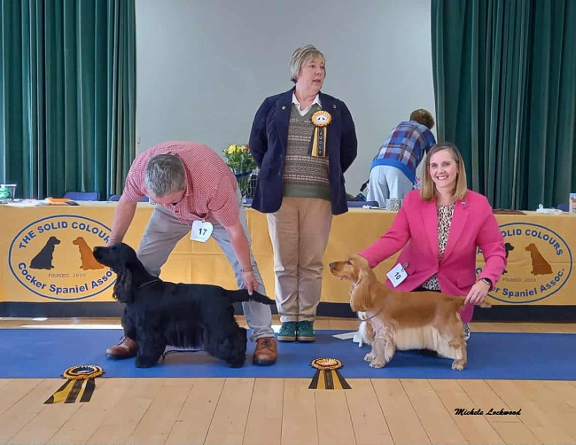 BIS & RBIS Open Show October 2025