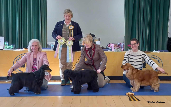 BPIS Open Show October 2025