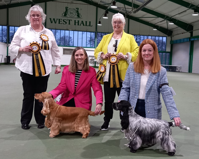 BVIS & BSBIS Ch Show 2025