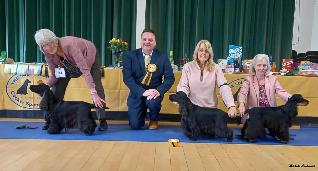 Special Awards October 2025