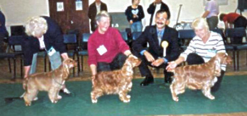 BIS October 2001