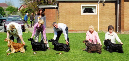 Open Show April 2006
