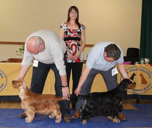 Best In Show April 2013