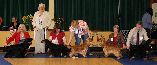 Best In Show line up April 2012