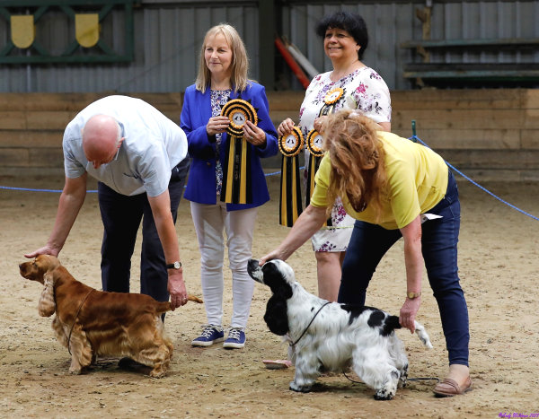 Best In Show Ch Show 2023