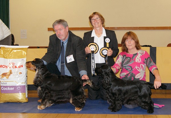 BIS Open Show Nov 2014