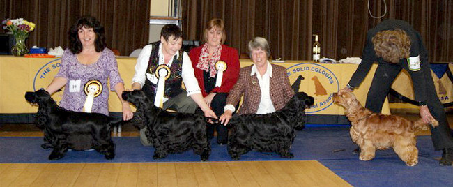 Best In Show Line Up 2010