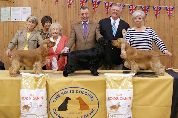 Best in Show October 2013
