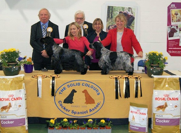 DCC & BCC October 2015