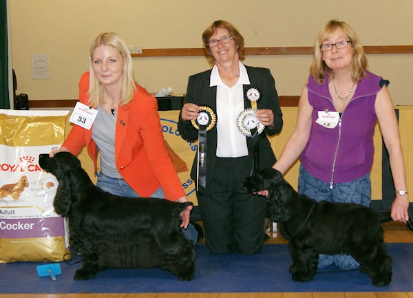 BPIS & BVIS Nov 2014