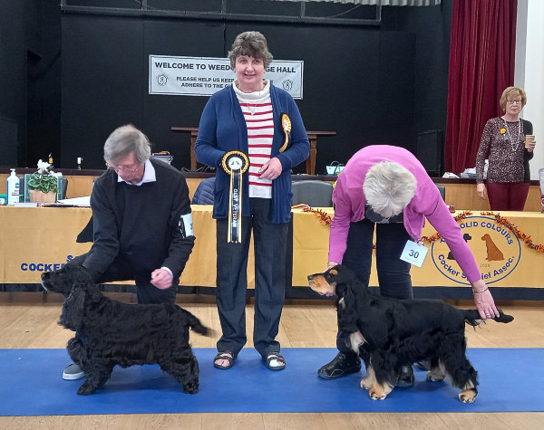 BVIS Open Show 2021