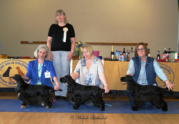 Special Awards April 2016