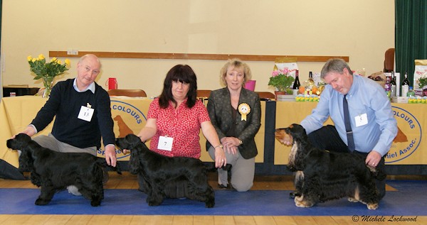 Special Award Classes May 2014