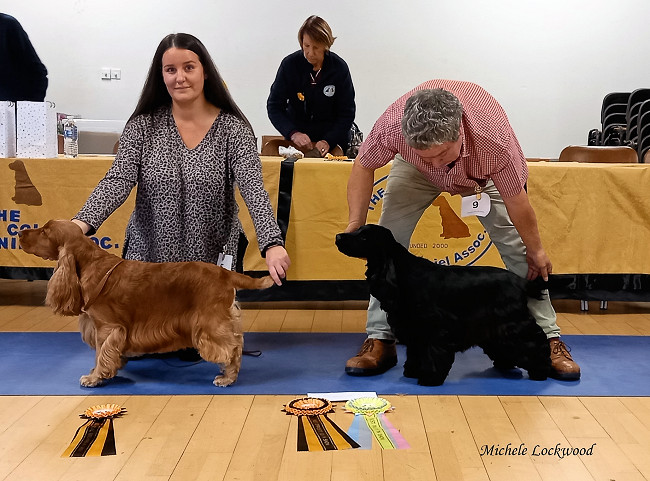 Best Special Beginners, BPIS, Oct 2024