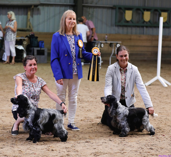 Best Special Beginners B & BVB Ch Show 2023