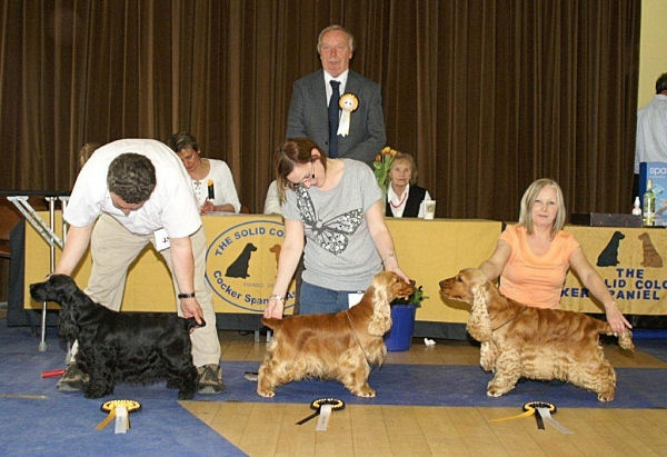 Best In Show line up April 2010
