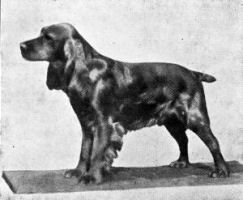 Garnes Copper Plate